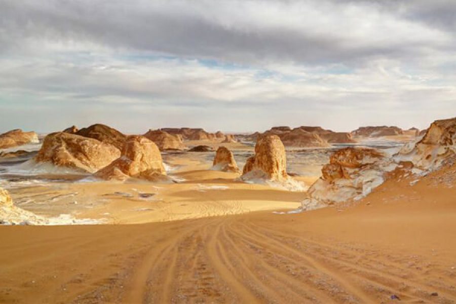 Pyramids, Nile & Oasis