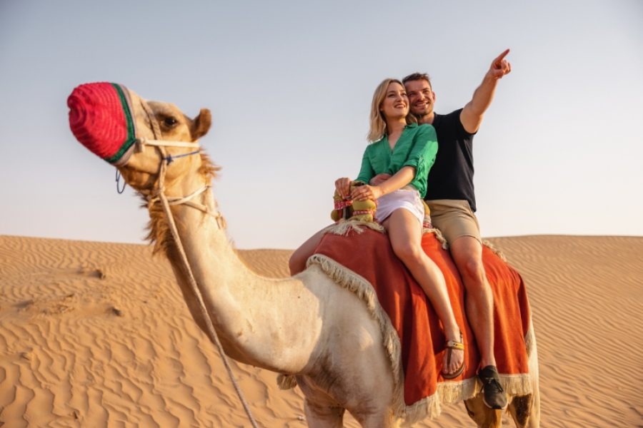 Best of Dubai and India Tour