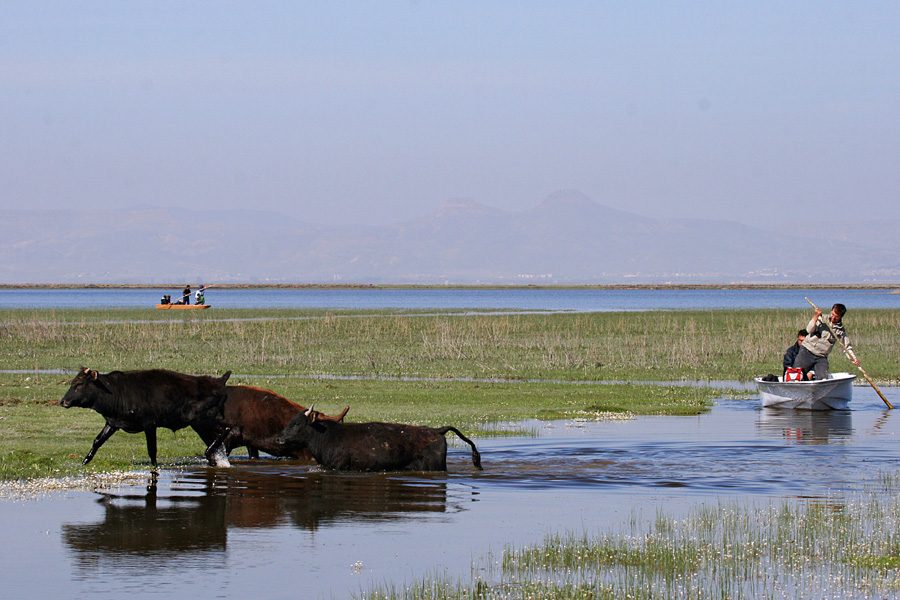 Sultan Marshes Bird Paradise 1 day private tour