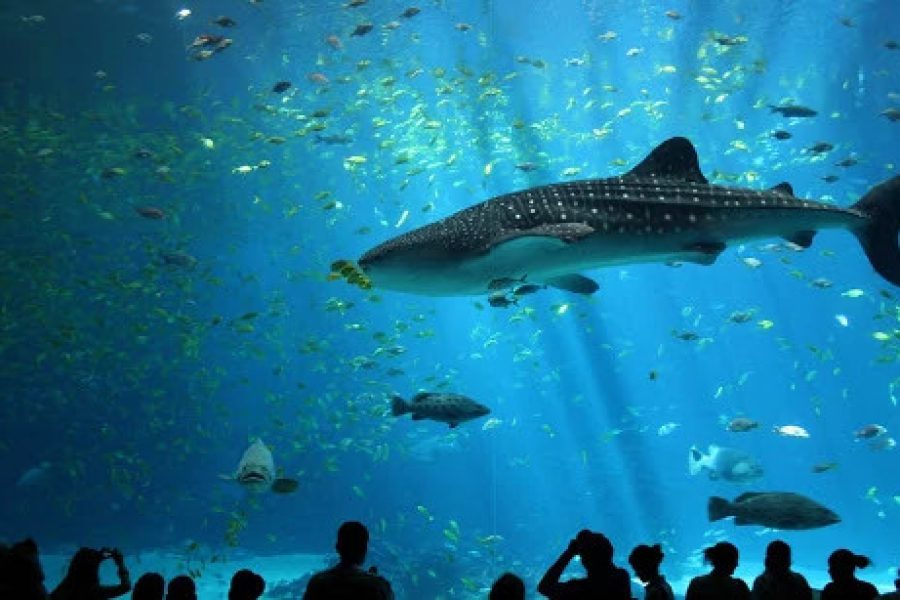 4 Days Istanbul Family Tour