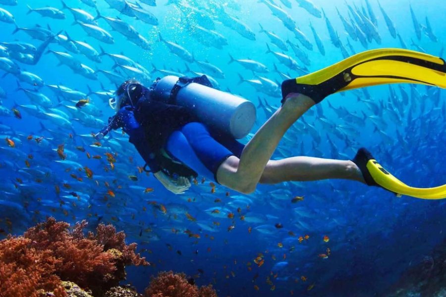 Daily Scuba Diving Tour from Belek