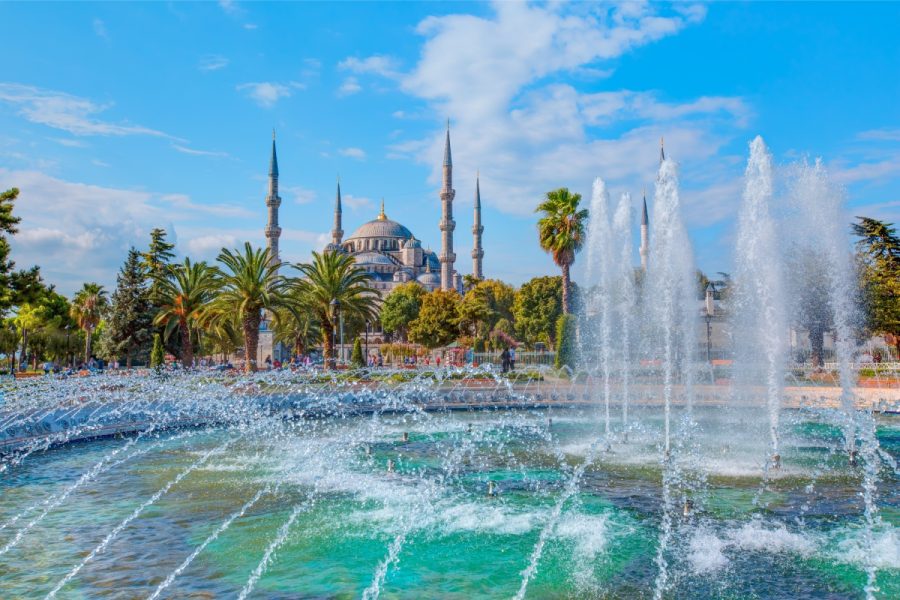 Istanbul Private Luxury Van + Guide Tour