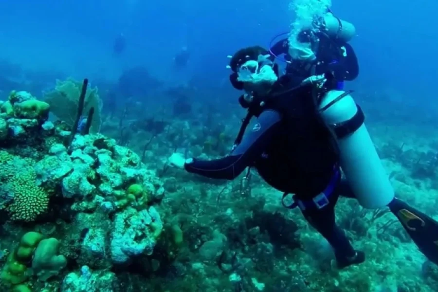 5 Days Istanbul Scuba Diving Tour