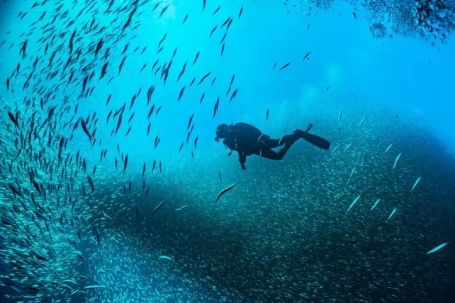 Daily Diving Tour from Alanya