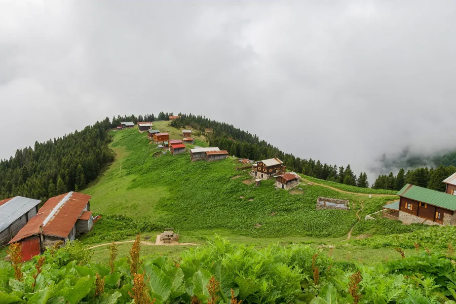 POKUT PLATEAU TOUR