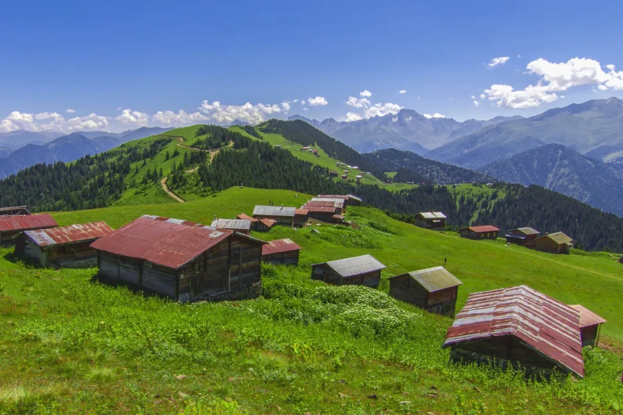 Ayşe Arman Route – Legendary Black Sea Highlands Tour (5 Days / 4 Nights)