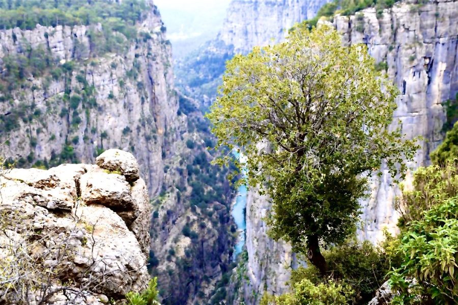 Eagle Canyon Tour with Rafting from Alanya