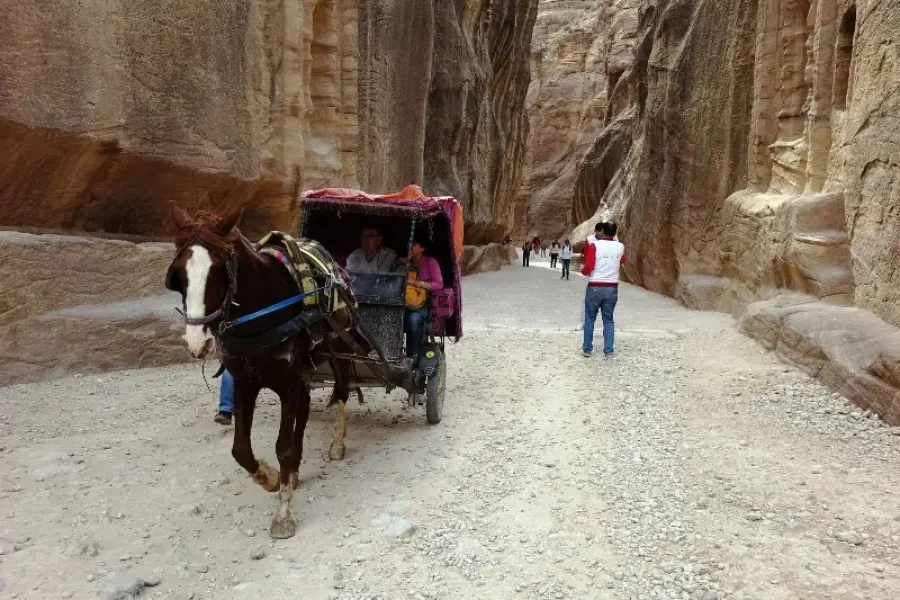 Day Trip to Petra from Dahab