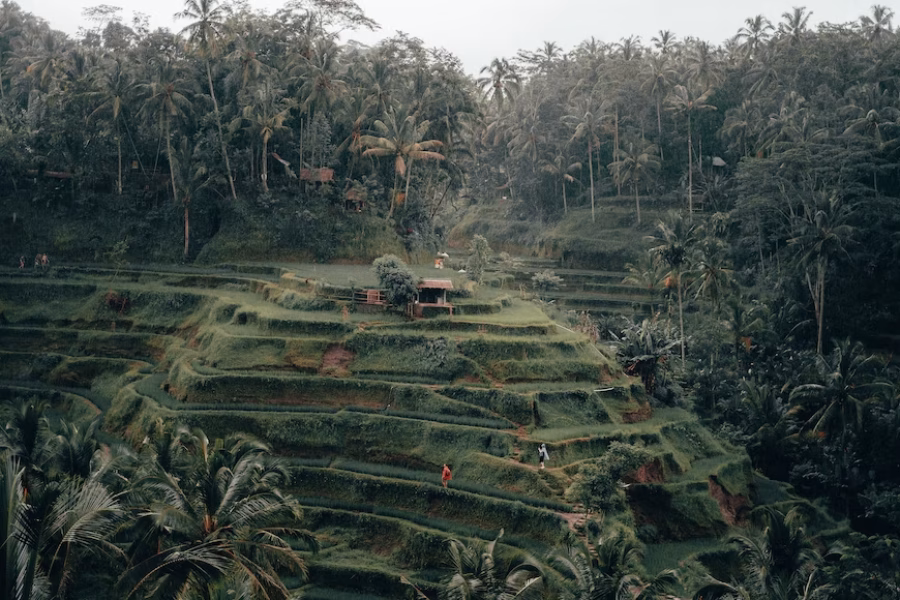 6 Days 5 Nights Bali Romantic Escape