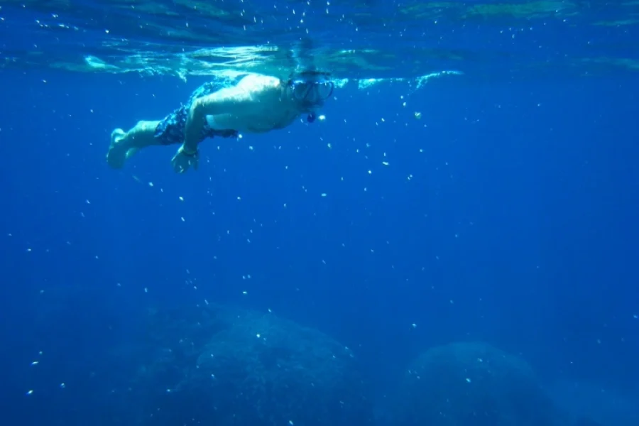 Snorkeling Trip to Tiran Island
