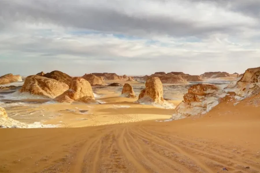 White Desert with Bahariya Oasis Adventure