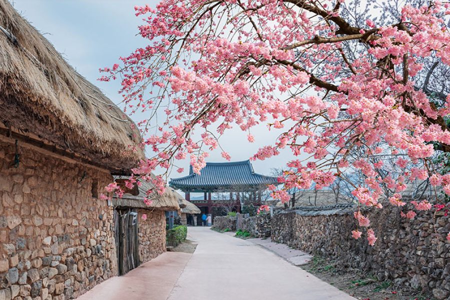 10 Day Classic South Korea