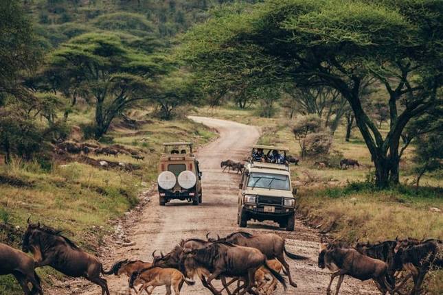 Tanzania