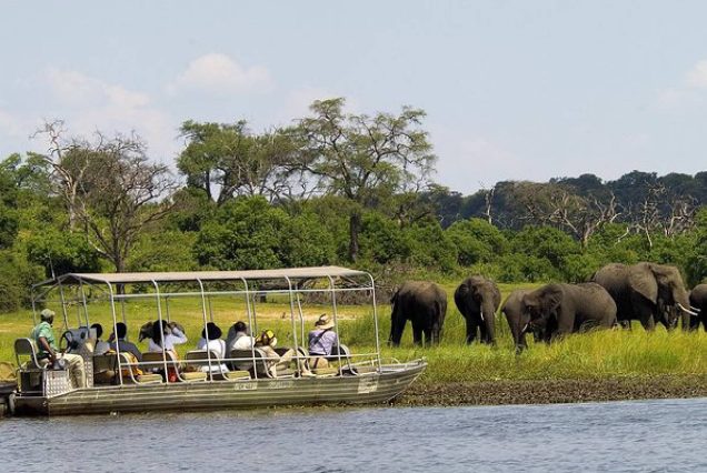 Zambia