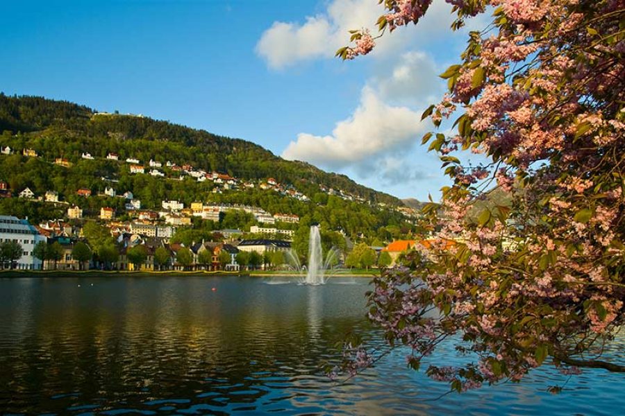 8 Day Norwegian Vistas, Fjords & Glaciers Walking Tour