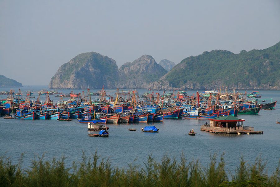 8 Day Essential Vietnam