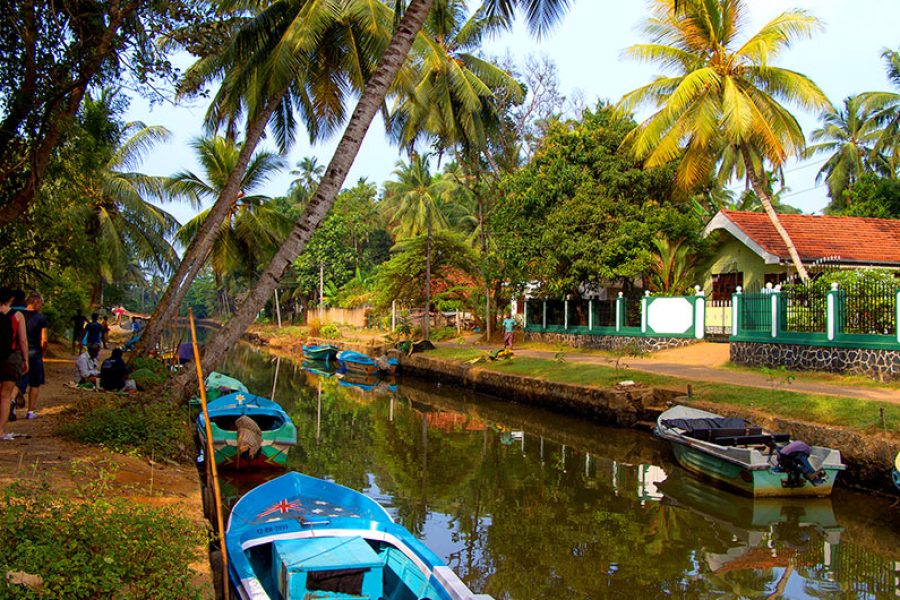 14 Day Treasures of Sri Lanka