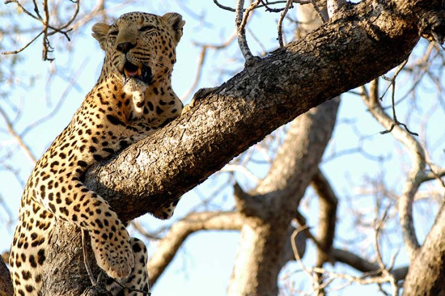 16 Day Classic South Africa with Robben Island, Victoria Falls & Botswana