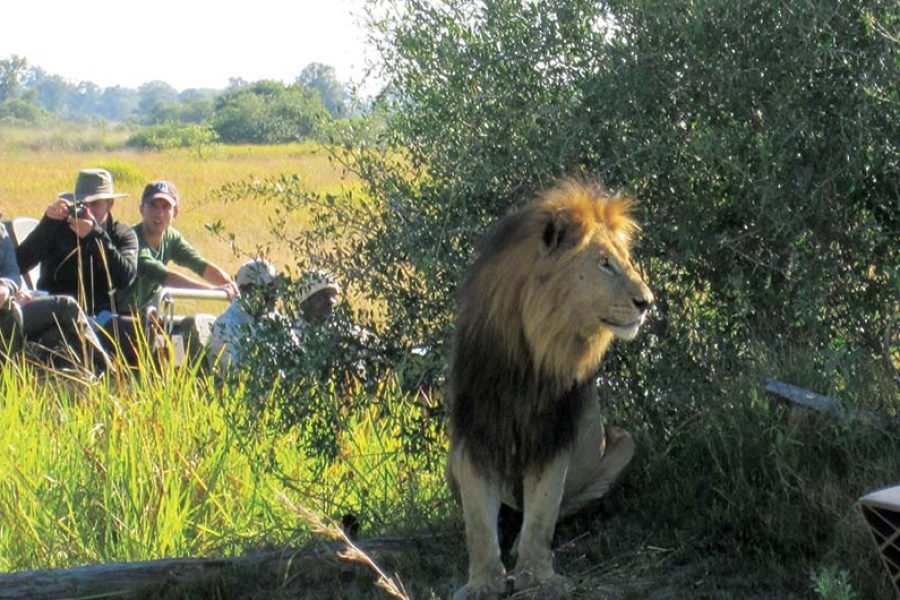 8 Day Essential South Africa