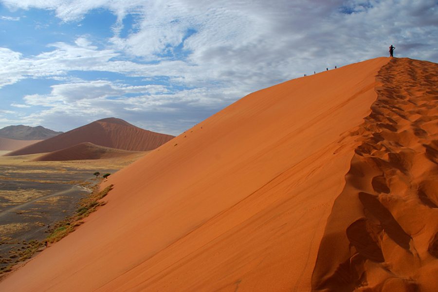 13 Day Namibia, Naturally