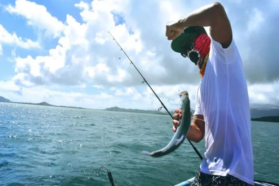 Red Sea Fishing: Cast and Catch