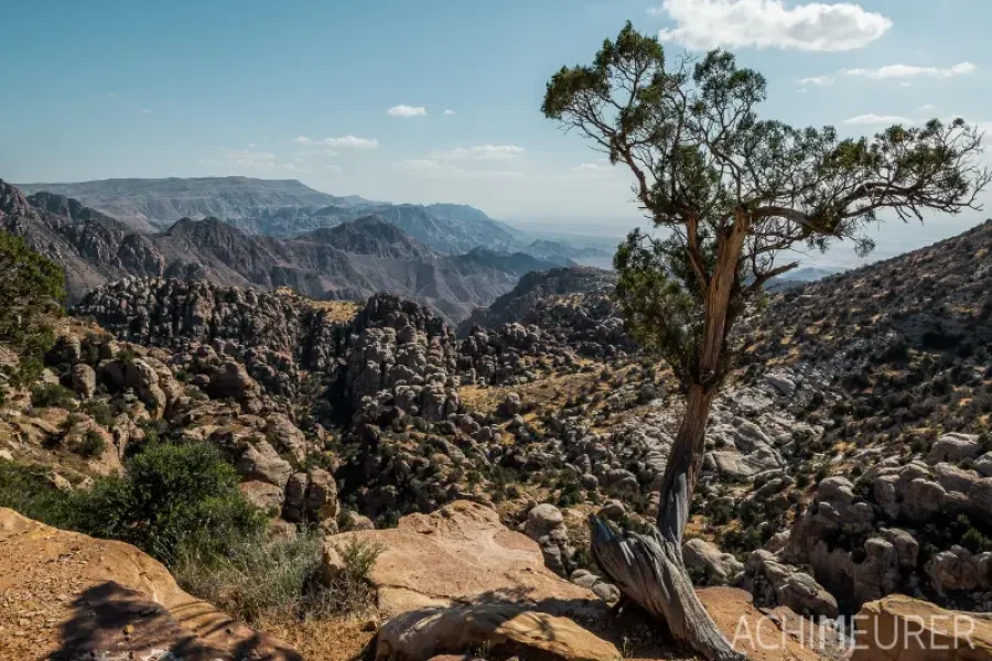 Dana to Petra: Hiking Ancient Pathways