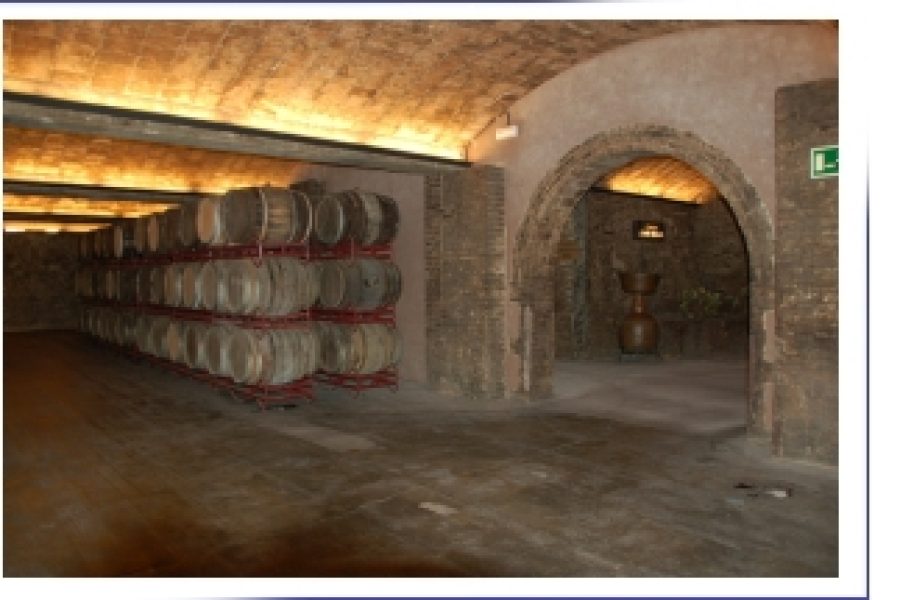 Day Tour to Montserrat & Cava country