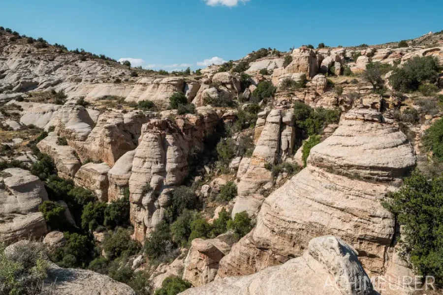 Jordan 8-Day Hiking Adventure: Dana Trek, Petra