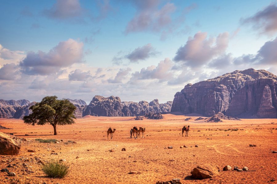 Classic Jordan Private Tour: The 7-Day Luxury