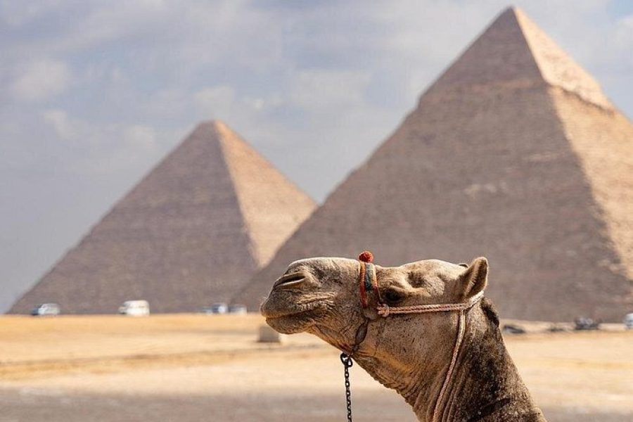 Sharm El Sheikh: Great Pyramids, Sphinx, Museum Tour by Bus