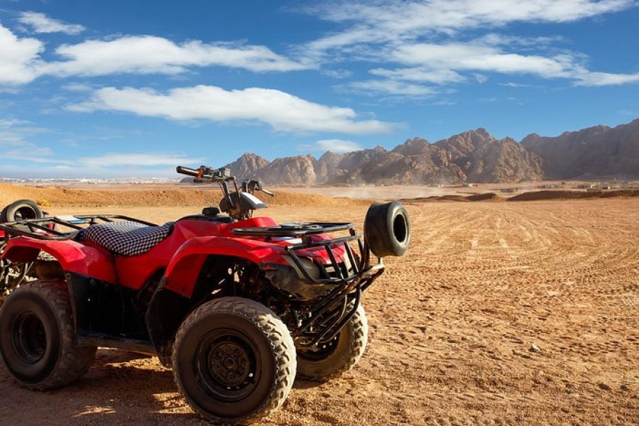 Sharm El-Sheikh: ATV Quad, Buggy, Stargazing, BBQ Dinner & Show