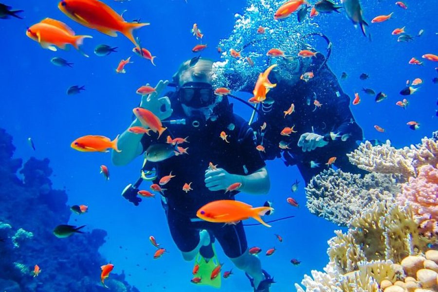 Ras Mohammed & White Island Luxury Yacht Trip