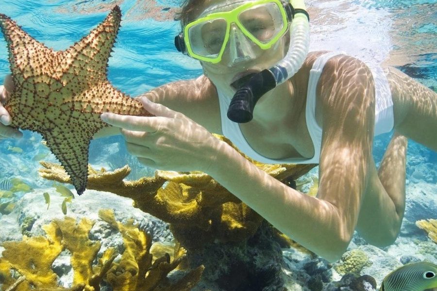 Diving & Snorkeling Boat trip to Tiran Island